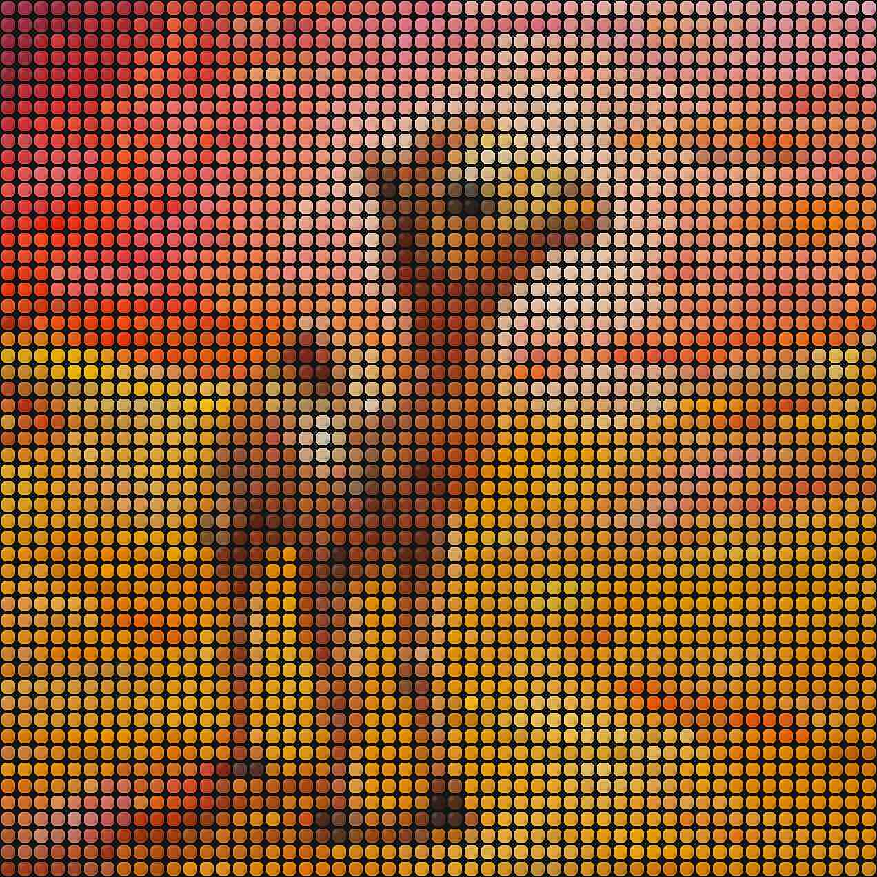 Fuse Beads Safari Baby Animals - Book 5