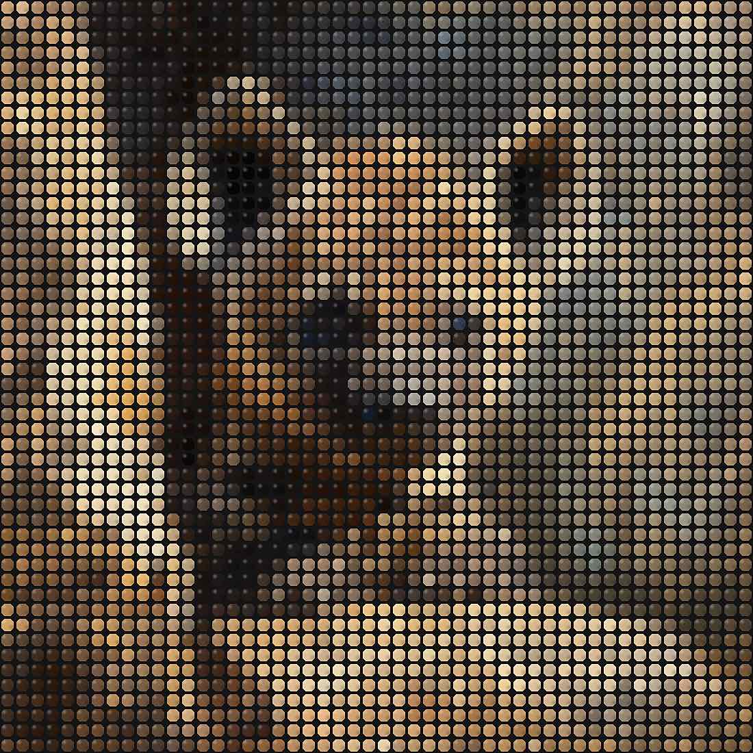 Fuse Beads Safari Baby Animals - Book 6