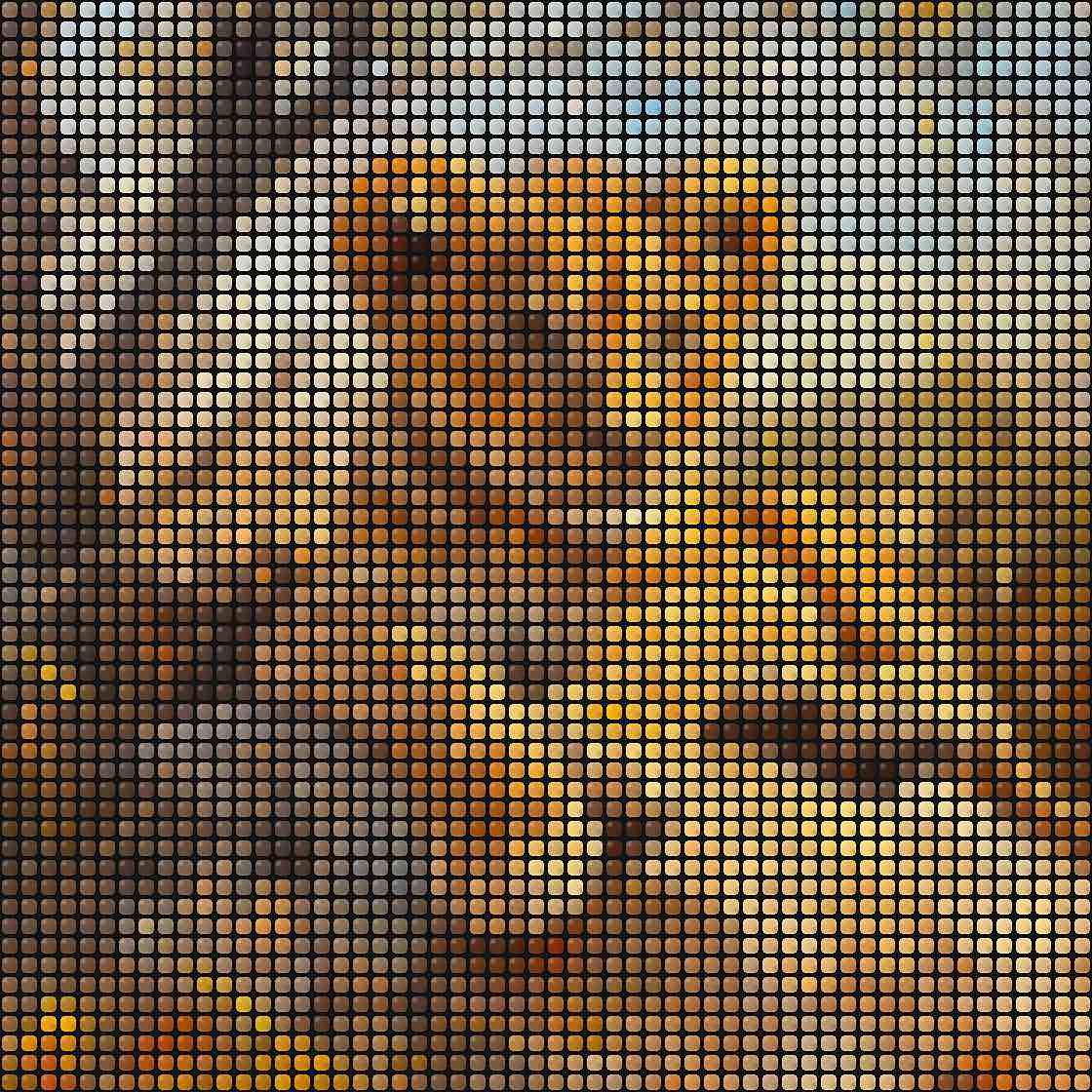 Fuse Beads Safari Baby Animals - Book 8