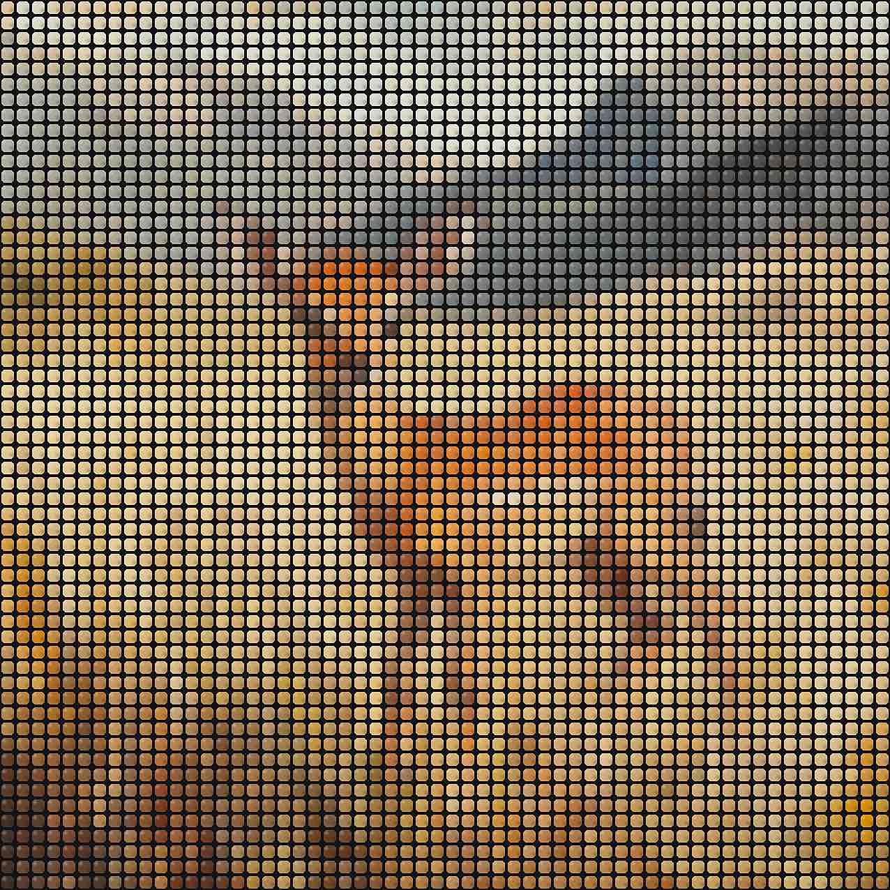 Fuse Beads Safari Baby Animals - Book 2