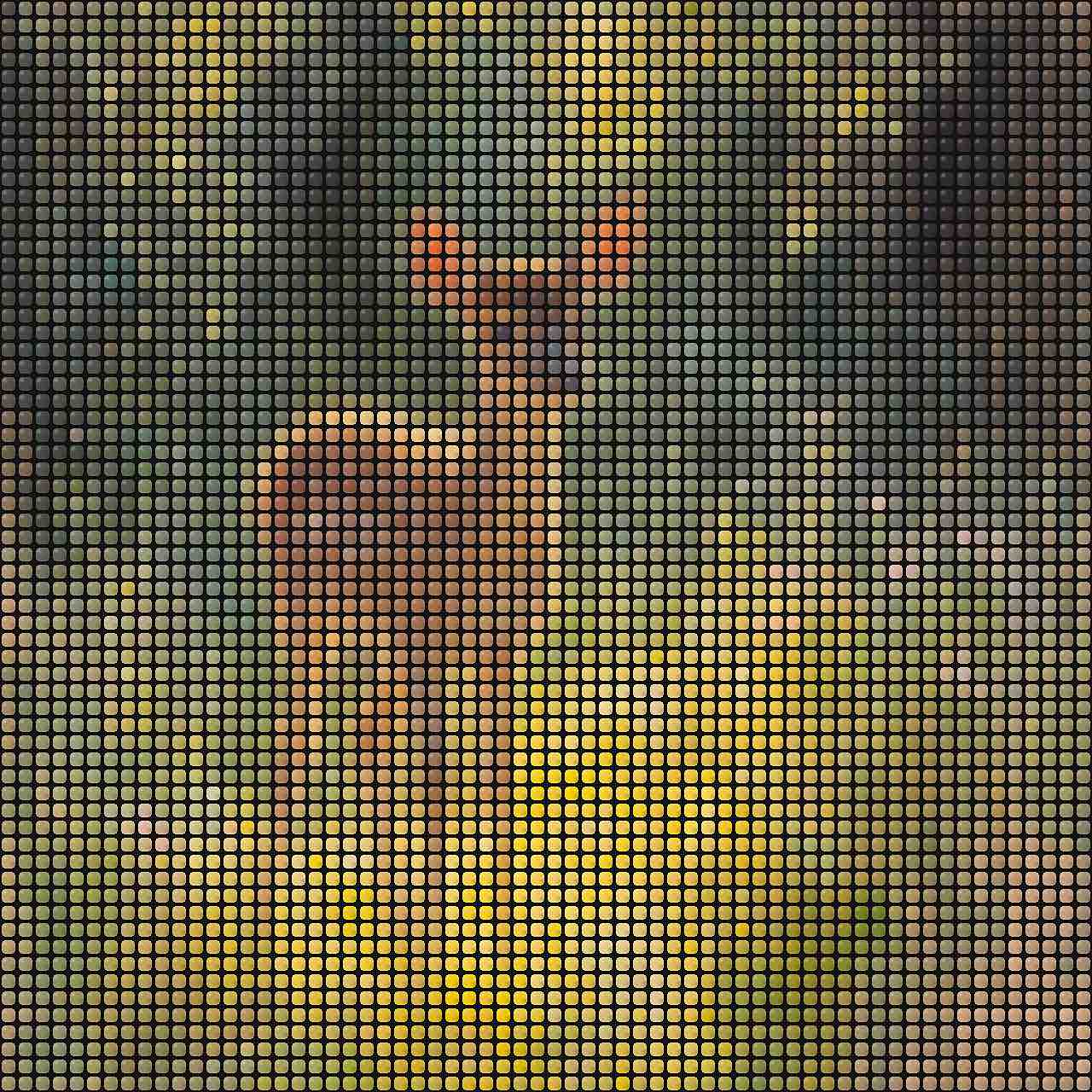 Fuse Beads Forest Baby Animals - Book 5