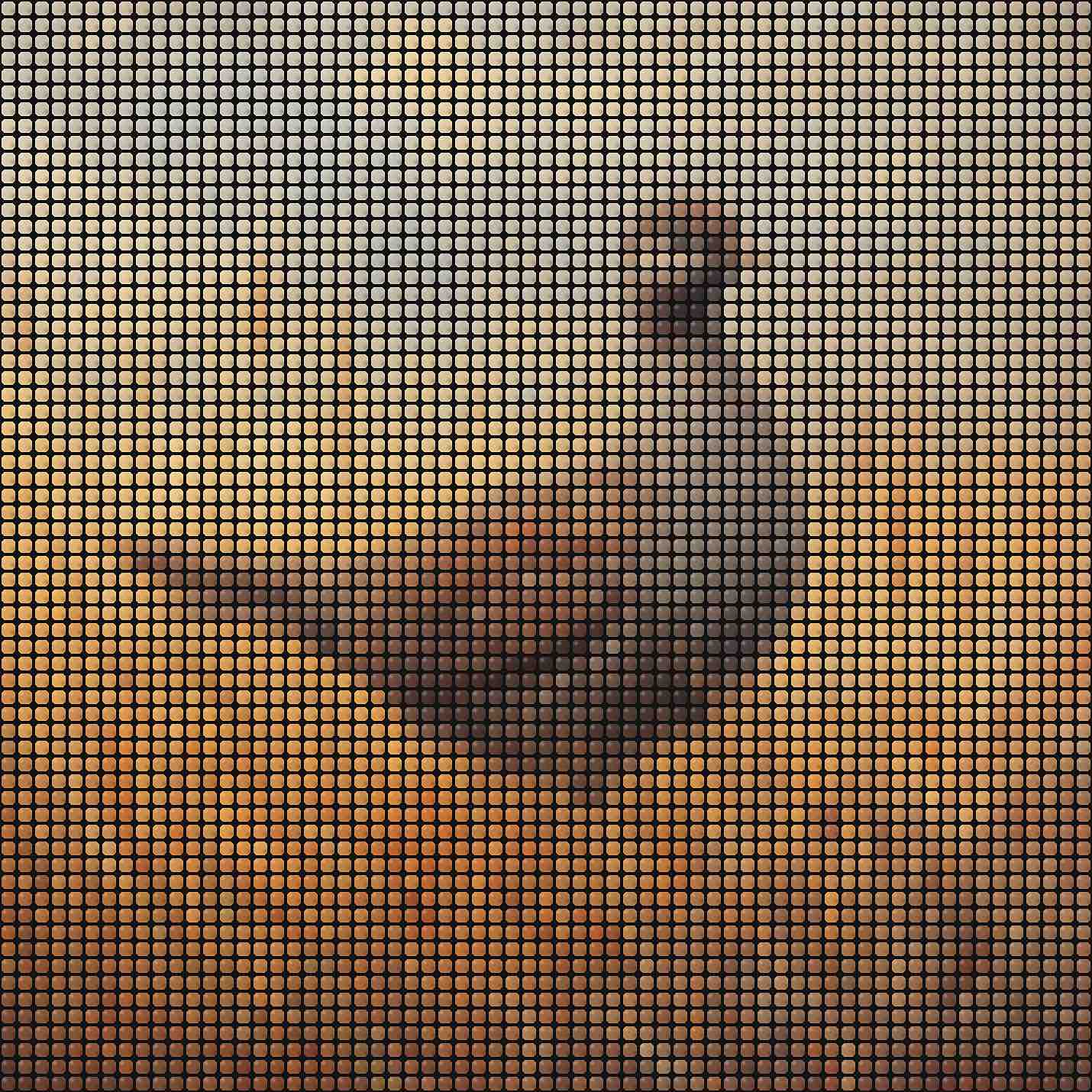 Fuse Beads Forest Baby Animals - Book 2